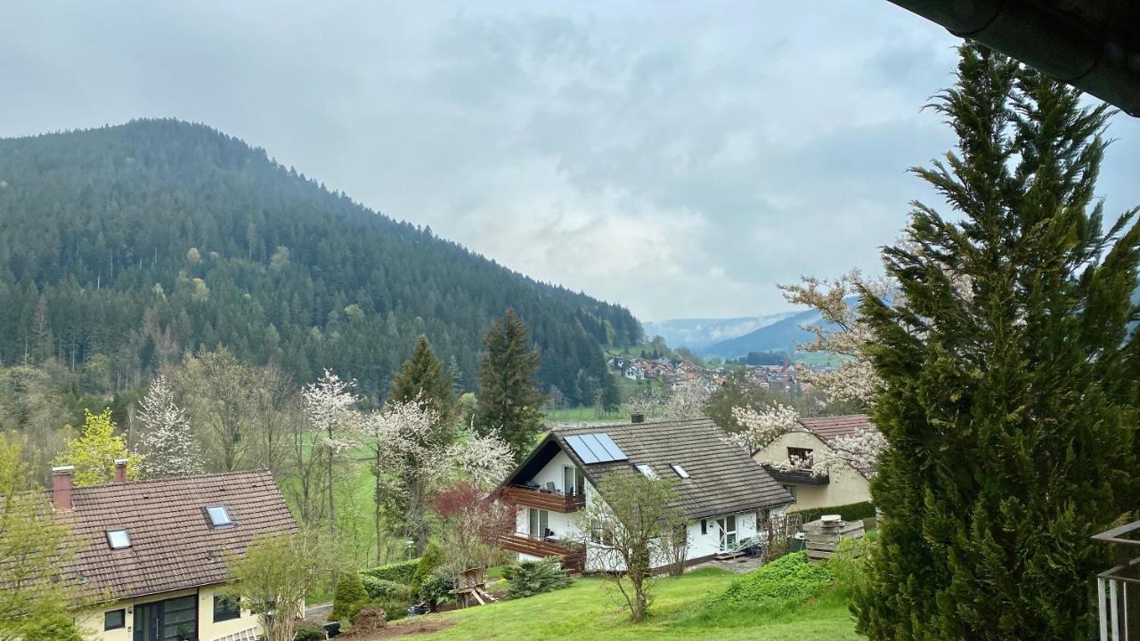 Black Forest Scenic Escape Baiersbronn Buitenkant foto